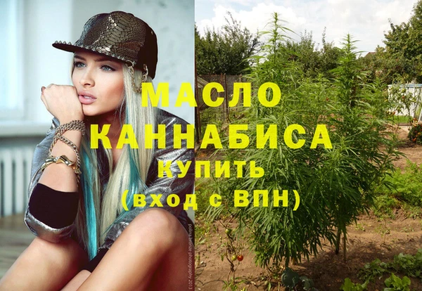 дмт Бронницы