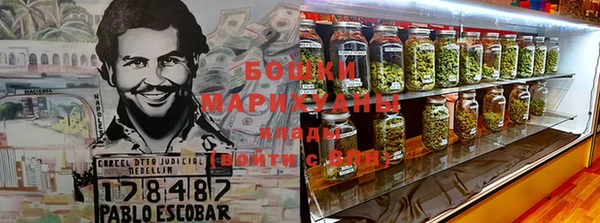 прущие крисы Верея