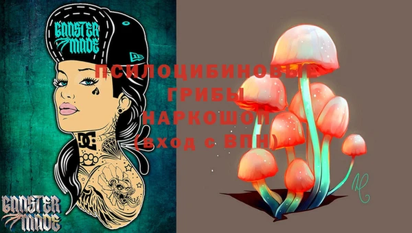 герыч Бородино
