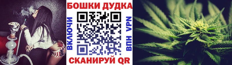 Бошки марихуана SATIVA & INDICA Купить где Выборг